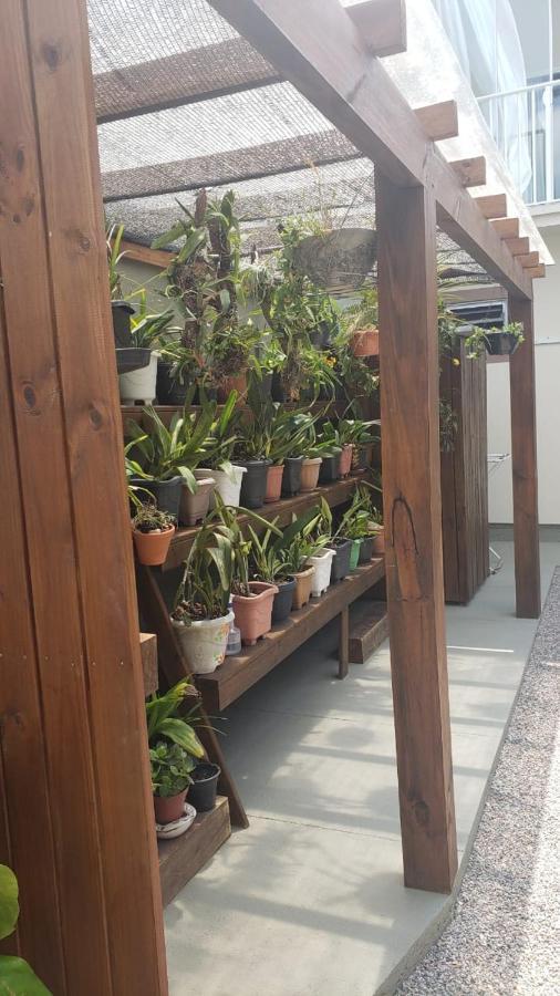 ピニェイラ Casa Da Alaideヴィラ エクステリア 写真